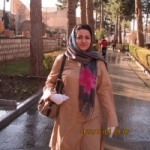 yalda_7 Profile Picture