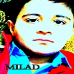 Milad Poodineh Profile Picture