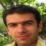 مجید حامدی Profile Picture