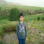 دانیال حسینی Profile Picture