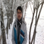 مهرداد ترکمن Profile Picture