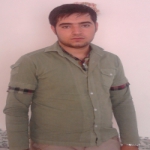 هادی اللهیاری Profile Picture