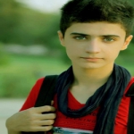 محمد جواد صفری Profile Picture