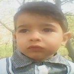 امیر نیازی Profile Picture