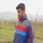 حسین خویشاوند Profile Picture