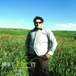 N.alizadeh0097 Profile Picture