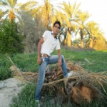 حامد Profile Picture