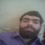 مجتبی محمدی Profile Picture