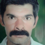 محرم محمدی Profile Picture