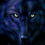 mr.wolf Profile Picture