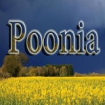پونیا کاظمی Profile Picture